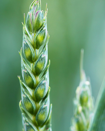 專(zhuān)業(yè)地磅軟件 專(zhuān)業(yè)地磅軟件